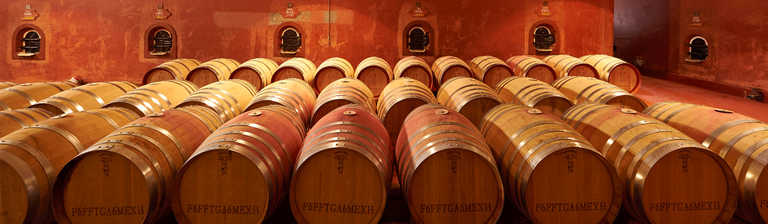 Large, aged St Henri barrels in the tunnels of Penfolds Magill Estate