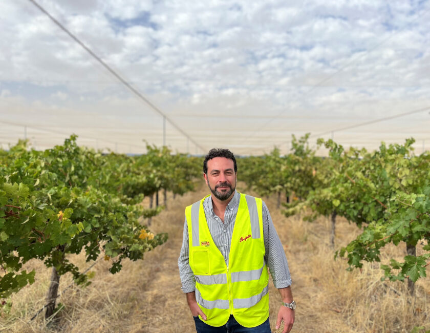 Penfolds new netted vineyard canopy